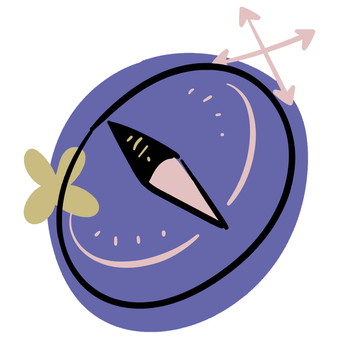 A simple, cartoonish illustration of a compass. The compass face is a purple circle with a thick black border, containing a two-part needle that is black with yellow markings on one end and solid pink on the other, pointing right.